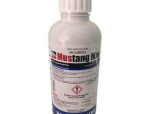 Mustang Max