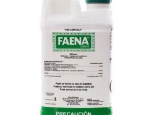 Faena