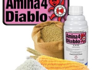 Amina 4 Diablo
