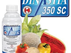 Dinastia 350 SC