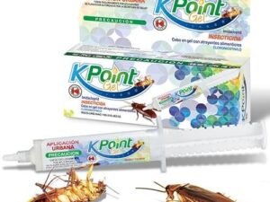 Kpoint
