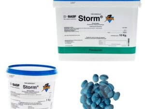 Storm