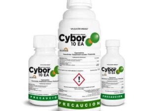Cybor 10EA