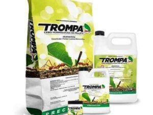 Trompa