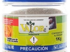 valor
