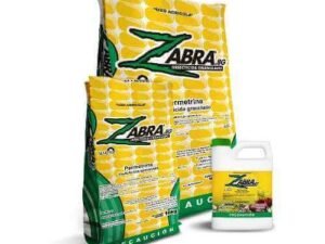 Zabra 8G